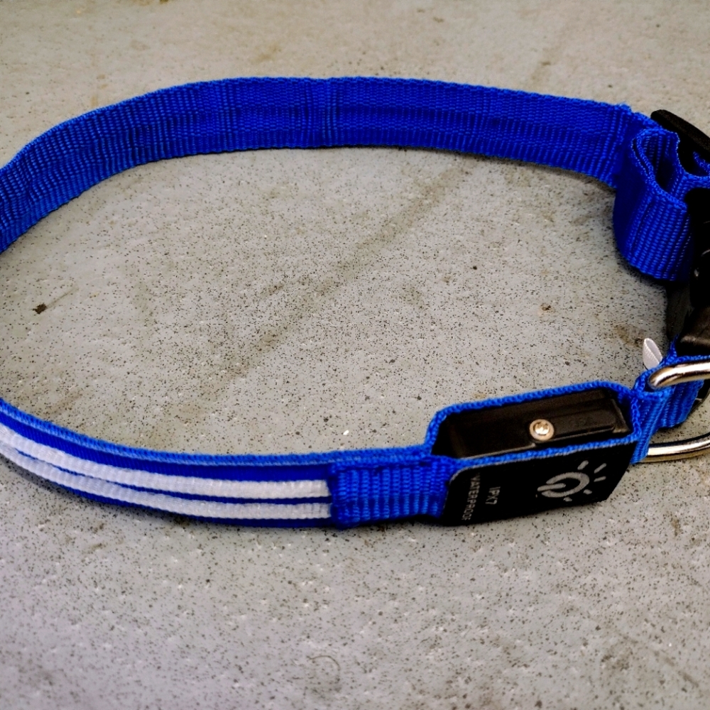 Safety dog collar
